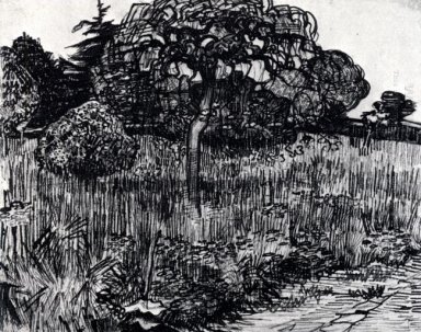 Der Park bei Arles 1889