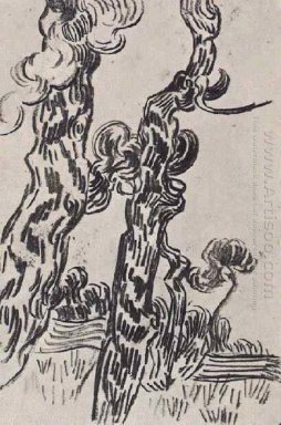 Due Pinetrees 1889