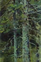Hutan 6