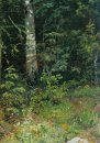 Birch And Mountain Ash 1878