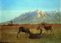 Herten in een berg home 1879