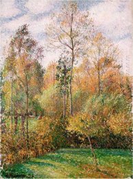 höst popplar 1893