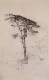 pine 1854