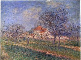 Pohon Di Bloom