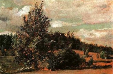 Пейзаж Ветер 1907