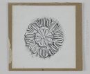 Judaic Ornamento Rosette 1889