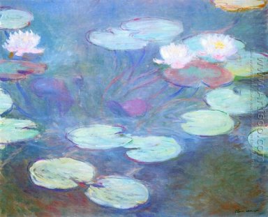 Pink Water Lilies