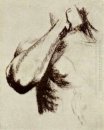 Эскиз правая рука и плечо 1886