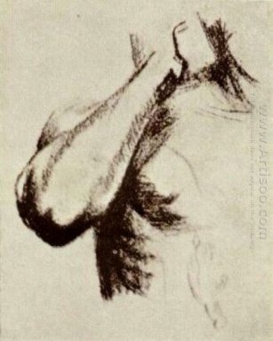 Esboço de um braço direito e ombro 1886