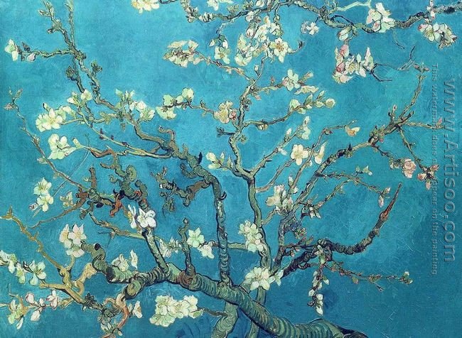 Blossoming Almond Tree 