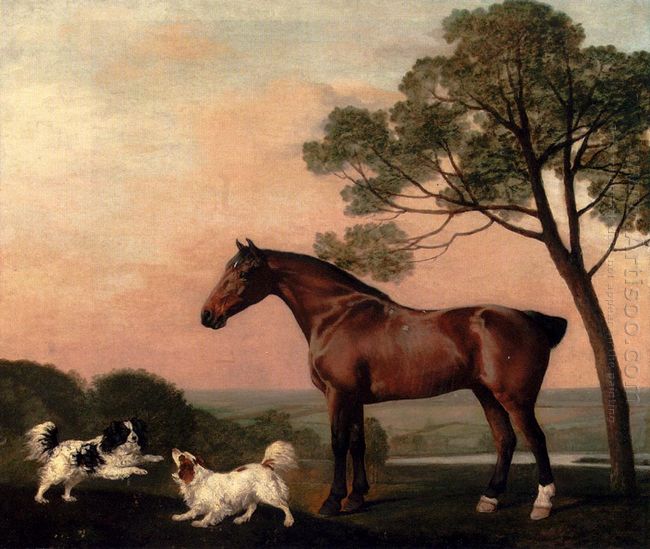 A Bay Hunter mit zwei Spaniels