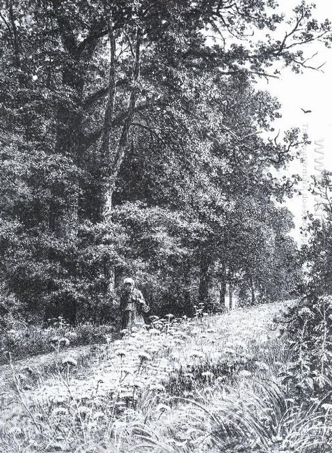 On The Forest Boundary Line 1878