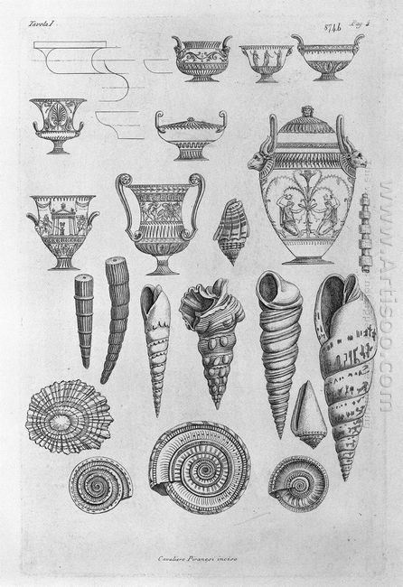 Other Shells And Greek Vases Etched Outline