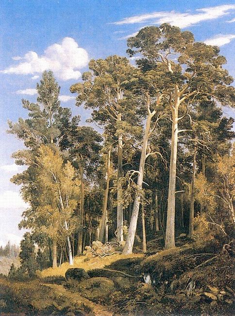 Pine Forest 1866