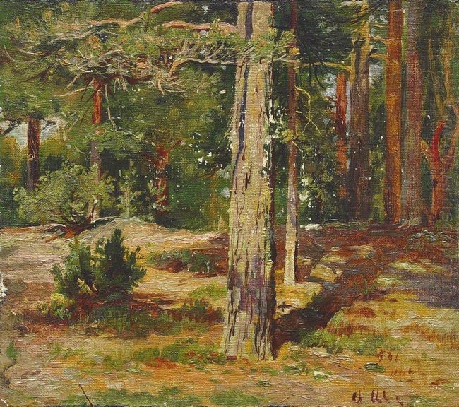 Pines Summer Landscape 1867