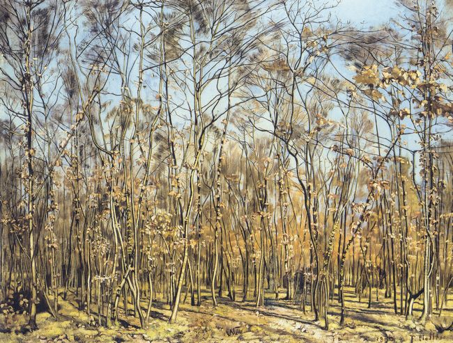 The Beech Forest 1885