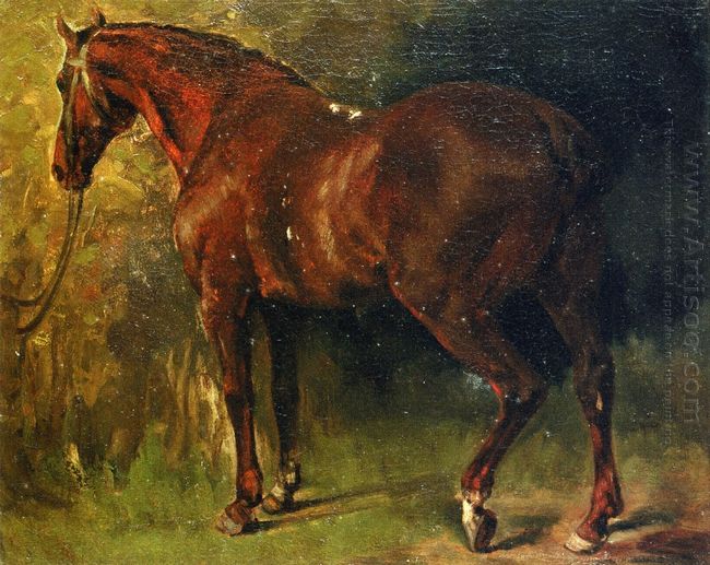 The English Horse Of M Duval