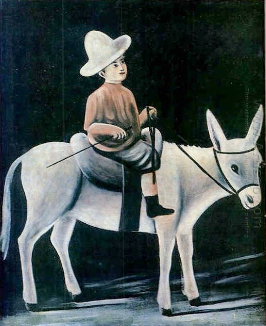 Um menino em um Donkey
