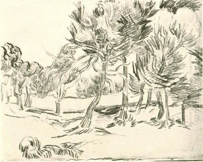 Een Groep Pijnbomen 1889