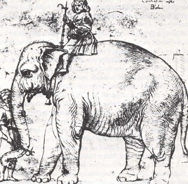 Hanno The Pope S Leo X Elephant 1516