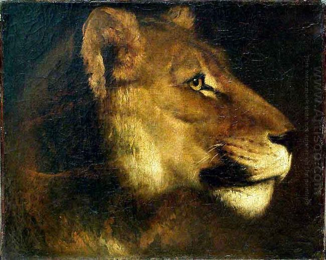 Head Of Lioness
